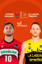 Jornada 4: Coviran Granada - La Laguna Tenerife