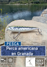 Perca americana en Granada