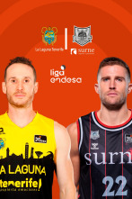 Jornada 15: La Laguna Tenerife - Surne Bilbao Basket