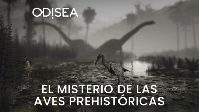 El misterio de las aves prehistóricas