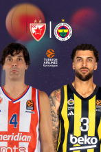 Jornada 21: Estrella Roja - Fenerbahce