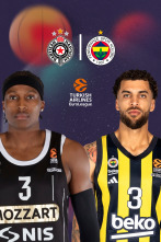 Jornada 18: Partizán - Fenerbahce VO