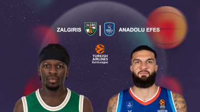 Jornada 14: Zalgiris - Efes VO