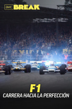 F1: Carrera hacia la perfección 