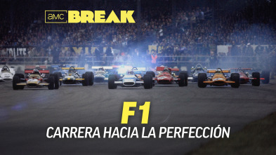 F1: Carrera hacia la perfección 