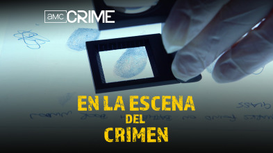 En la escena del crimen 