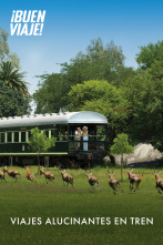 Viajes alucinantes en tren 