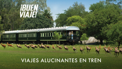 Viajes alucinantes en tren 