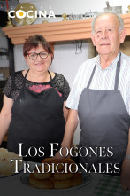 Los fogones tradicionales (T25)