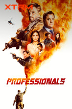 Professionals (T1)