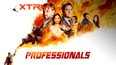 Professionals (T1)