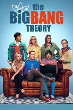 The Big Bang Theory (T1)