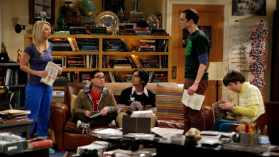 The Big Bang Theory (T3)