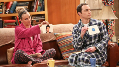 The Big Bang Theory (T9)