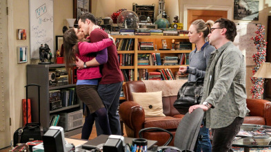 The Big Bang Theory (T10): La regulación del amor