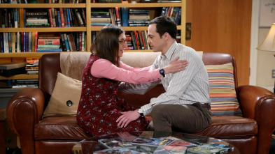 The Big Bang Theory (T8)