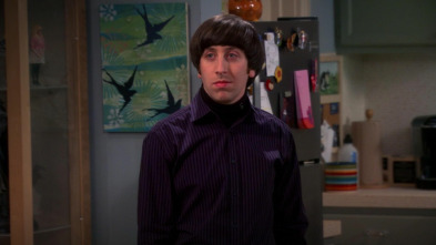 The Big Bang Theory (T6)