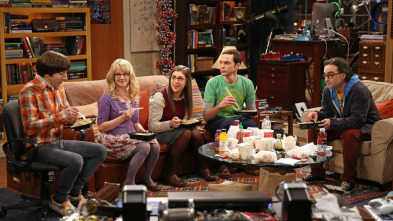 The Big Bang Theory (T6)