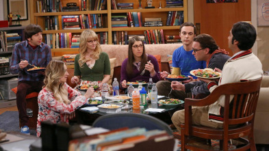 The Big Bang Theory (T7)