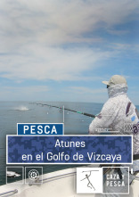 Atunes en el Golfo de Vizcaya