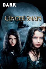 Ginger Snaps