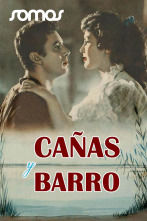 Cañas y barro