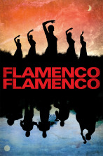 Flamenco, Flamenco