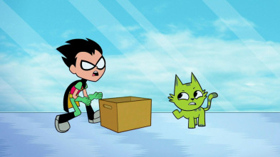 Teen Titans Go! (T5)