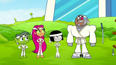 Teen Titans Go! (T5)