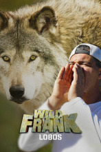 Wild Frank: Lobos