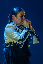 El flamenco es universal