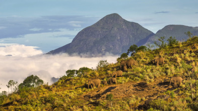 Asia: Por las nubes