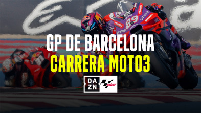 Gran Premio Solidario...: Carrera de Moto3