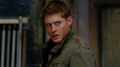 Supernatural,... (T6): Live Free or Twihard