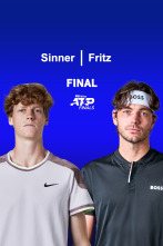 Final: Sinner - Fritz