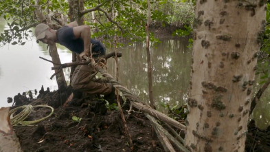 Ed Stafford:... (T1): Borneo