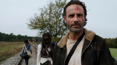 The Walking Dead (T4)