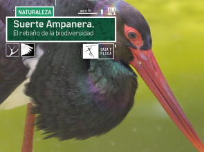 Suerte Ampanera, rebaño de biodiversidad