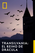 Transilvania: El Reino De Drácula 