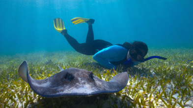 El futuro de la naturaleza: Océanos