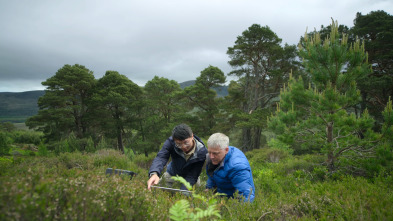 El futuro de la naturaleza: Bosques