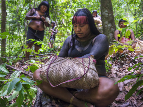 El futuro de la naturaleza: Bosques