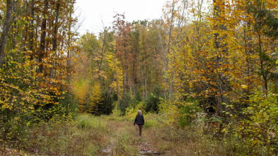 El futuro de la naturaleza: Bosques