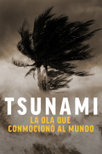 Tsunami: la ola que conmocionó al mundo 