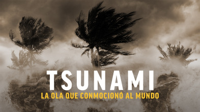 Tsunami: la ola que conmocionó al mundo 