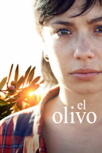 El olivo