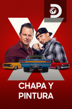 Chapa y pintura (T10)