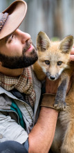 Coyote Peterson en lo...: Tiburones en las sombras