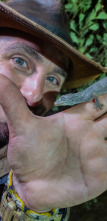 Coyote Peterson en lo...: La noche de los geckos