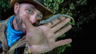 Coyote Peterson en lo...: La noche de los geckos